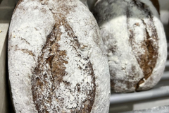 image-04-11-21-10-13-7