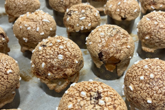 image-11-11-21-12-36-1